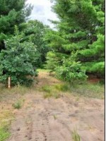 Hwy E Redgranite, WI 54970 by First Weber Real Estate $55,000