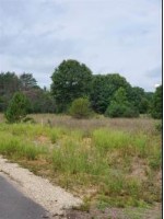 Hwy E Redgranite, WI 54970 by First Weber Real Estate $55,000