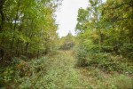 S Long Lake Road Wild Rose, WI 54984-0000 by Real Pro $29,900