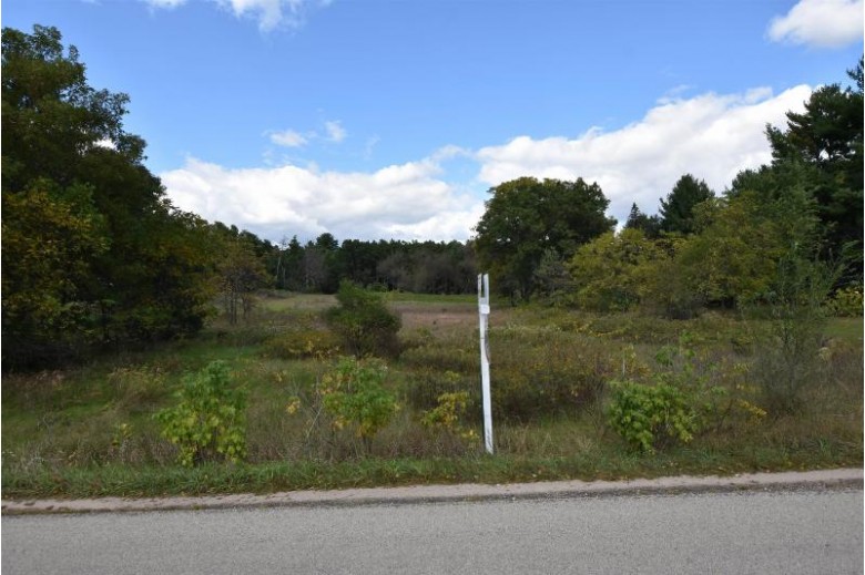Roberts Road Wild Rose, WI 54984-0000 by Real Pro $29,900