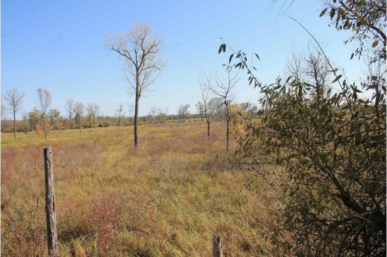 Puchyan Rd Berlin, WI 54923 by Whitetail Properties Real Estate Llc $199,900