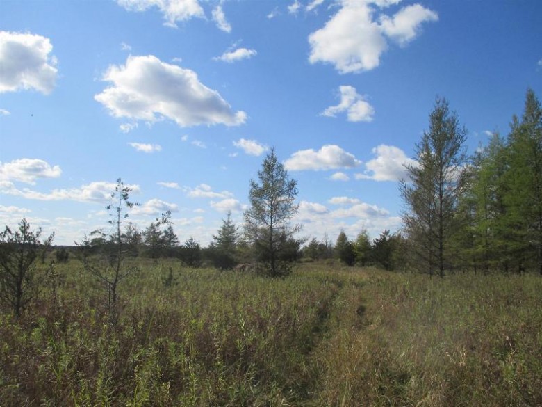 36 Acres Off 16th Rd Montello, WI 53949 by First Weber Real Estate $140,000