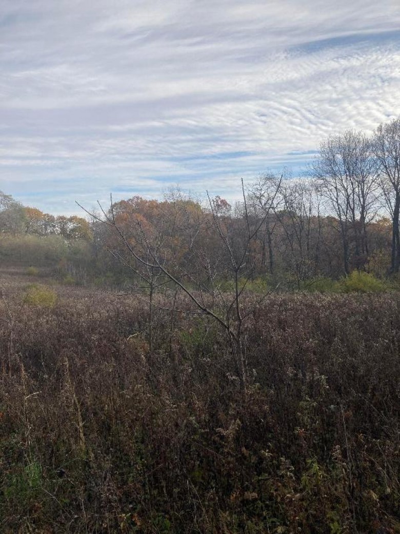 LOT 0 Knight Hollow Road Arena, WI 53503 by Nexthome Priority $200,000