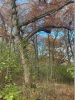 LOT 0 Knight Hollow Road, Arena, WI by Nexthome Priority $200,000