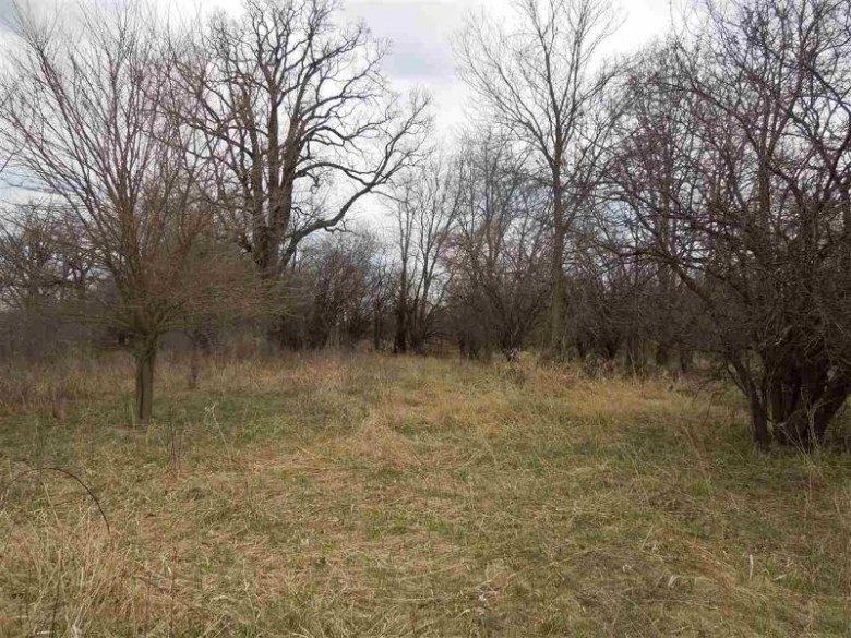 Star School Rd, Fort Atkinson, WI by Whitetail Properties Real Estate Llc $360,000