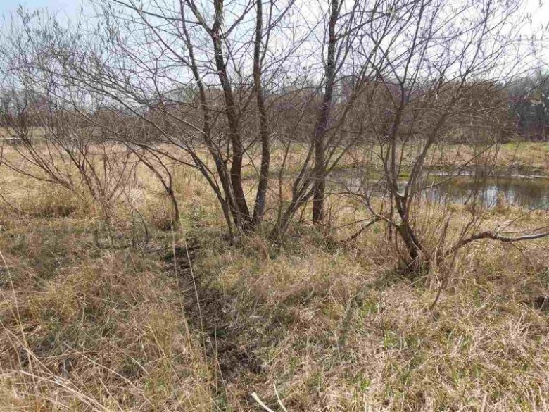 Star School Rd Fort Atkinson, WI 53538 by Whitetail Properties Real Estate Llc $360,000