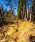 LOT 8 8th Dr, Hancock, WI by United Country Midwest Lifestyle Properties $90,000