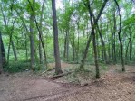5 AC Sunrise Rd, Oregon, WI by First Weber Real Estate $209,900