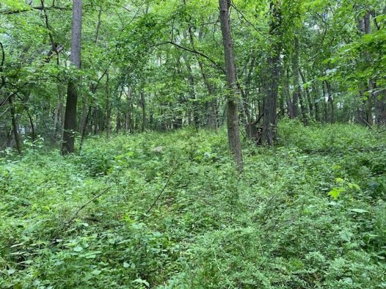 5 AC Sunrise Rd, Oregon, WI by First Weber Real Estate $209,900