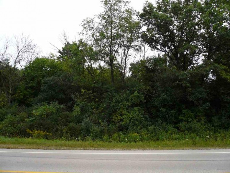 7.05 ACRES Hwy 18 Cambridge, WI 53523 by Badger Realty Team $250,000