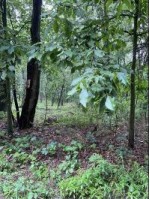 W3632 Forest Tr Montello, WI 53949 by First Weber Real Estate $75,900