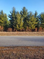 LOT 3 13 ACRES Akron Avenue Nekoosa, WI 54457 by First Weber Real Estate $89,000