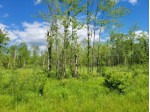 LOT 3 Johnson Road Pittsville, WI 54466 by First Weber Real Estate $34,900