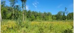 LOT 3 Johnson Road Pittsville, WI 54466 by First Weber Real Estate $34,900