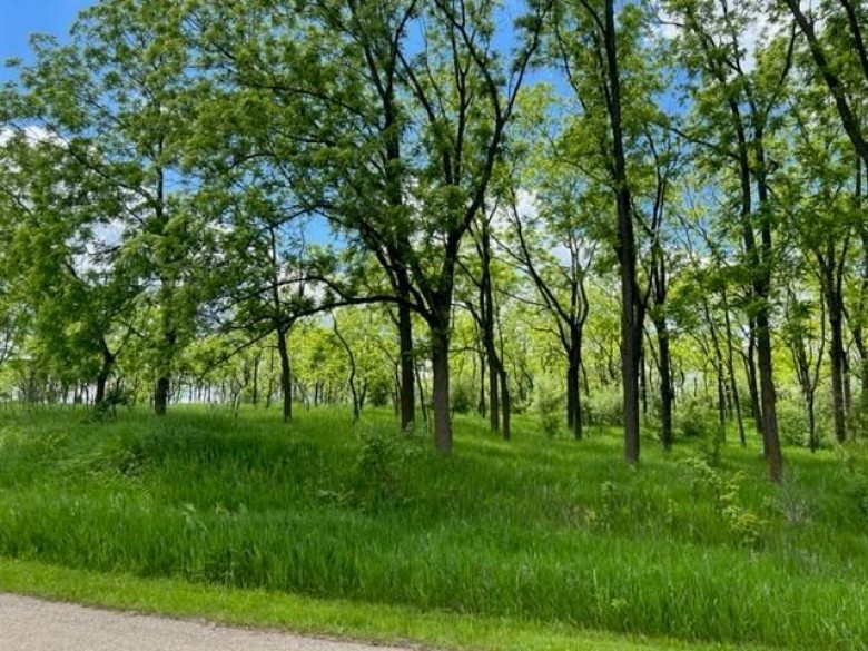 LOT 12 Hwy 39 Blanchardville, WI 53516 by First Weber Real Estate $42,900