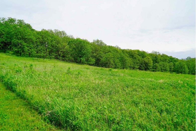 5.95 ACRES State Highway 92 Mount Horeb, WI 53572 by First Weber Real Estate $345,000