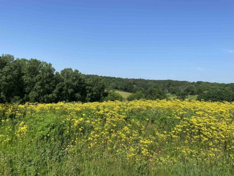 LOT 10 Hemmingford Ave Tomah, WI 54660 by First Weber Real Estate $34,000