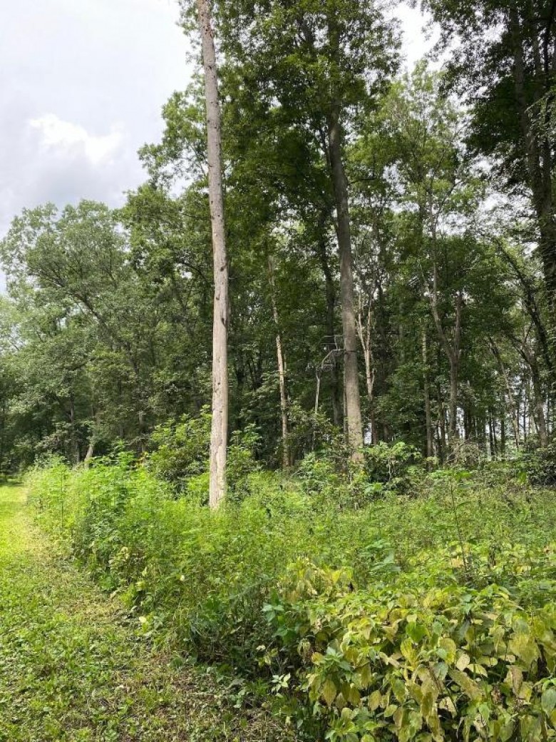 APPROX 146.5 AC County Road C Spring Green, WI 53588 by Potterton-Rule Inc $350,000