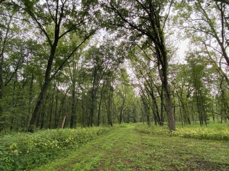 APPROX 146.5 AC County Road C Spring Green, WI 53588 by Potterton-Rule Inc $350,000