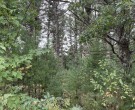 12.545 ACRES Townline Road LOT 4 OF WCCSM 10966