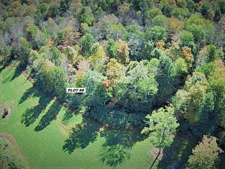 7544 Brown Bear Rd Summit, WI 54424 by Coldwell Banker Mulleady-Rhldr $1,469,000