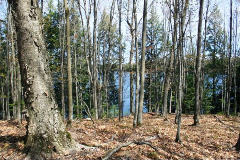 TBD Hewitt Ln 30 Oma, WI 54547 by First Weber Real Estate $139,950