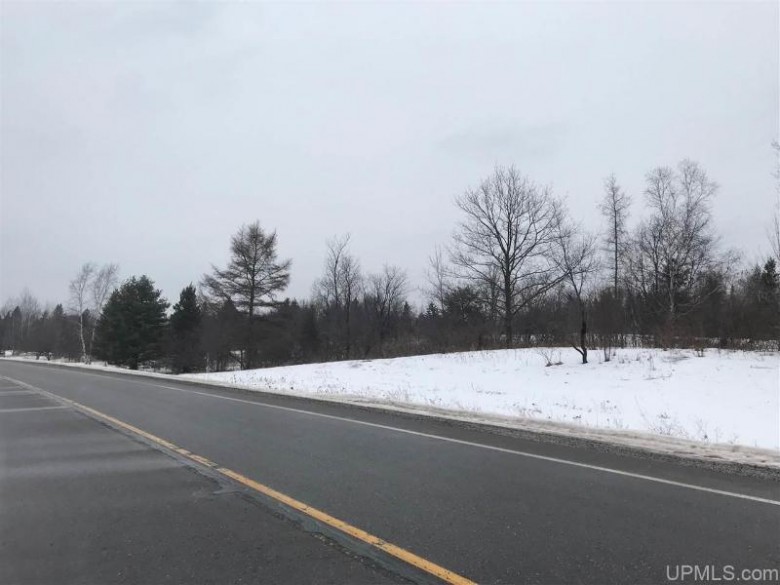 LOT 1 Trudell Lands 1 Commonwealth, WI 54121 by Wild Rivers Realty-F $32,900