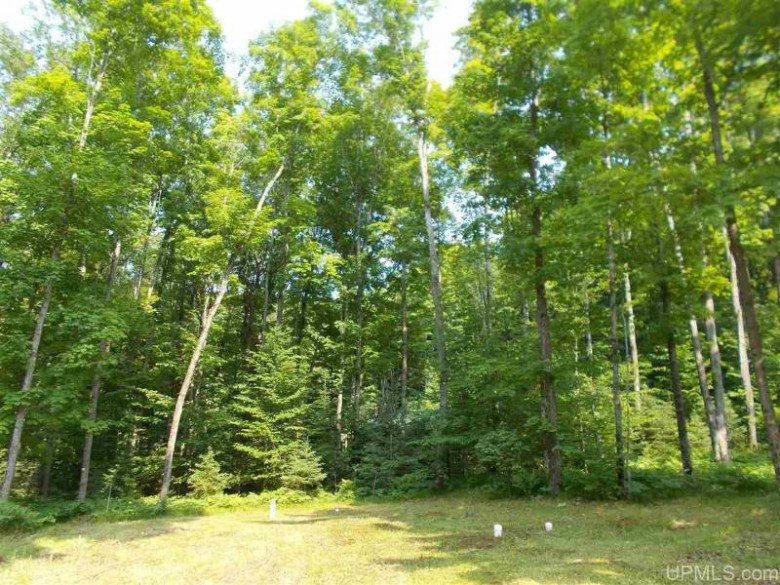 5507 Rocky Rd Tipler, WI 54542 by Wild Rivers Realty-F $84,900
