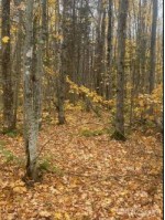 TBD Lakeshore Drive Ontonagon, MI 49953-0000 by First Weber Real Estate $229,950