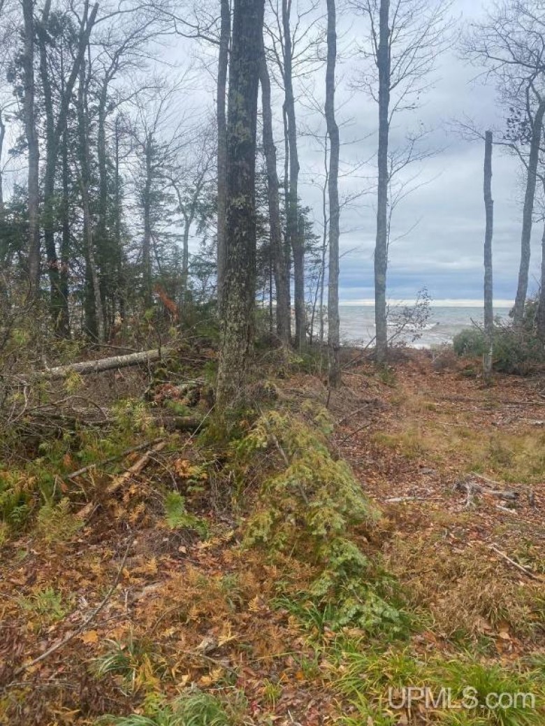 TBD Lakeshore Drive Ontonagon, MI 49953-0000 by First Weber Real Estate $229,950